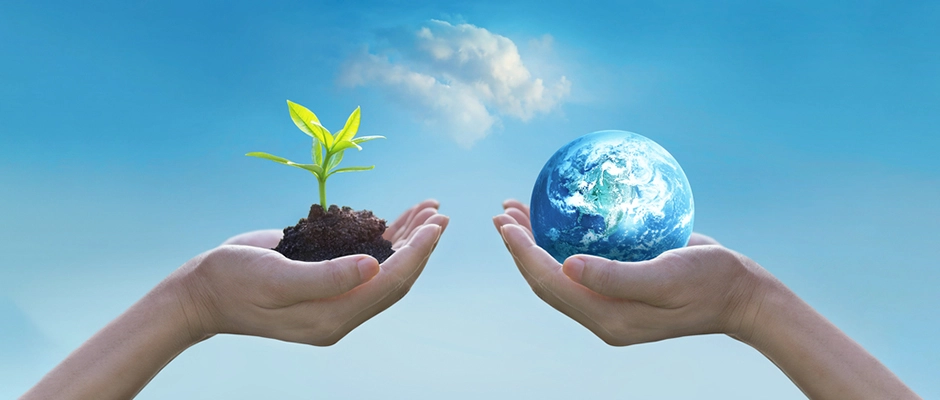 Banner 900-400 (3) copy