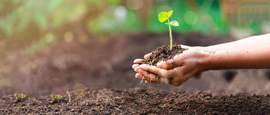 Banner 900-400 (4) copy